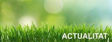 Actualitat