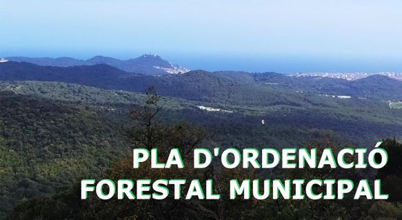 Pla d'ordenaci� forestal municipal