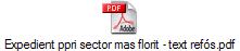 Expedient ppri sector mas florit - text ref�s.pdf