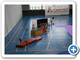 2013.2