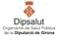 logo Dipsalut