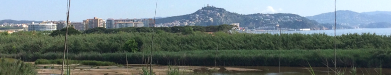 Atzar - Blanes des de La Tordera